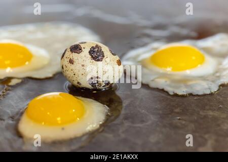 Primo piano di diverse uova di quaglia ricche di proteine fritte, con un uovo non fritto, messe in olio su una padella Foto Stock