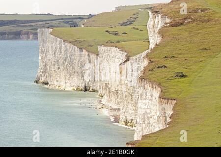 Vista lungo parte delle scogliere di gesso di Seven Sisters vicino a Birling Gap sulla costa meridionale dell'Inghilterra. L'erosione ha causato le cadute della roccia in modo da i visitatori dovrebbero essere cauti. Foto Stock