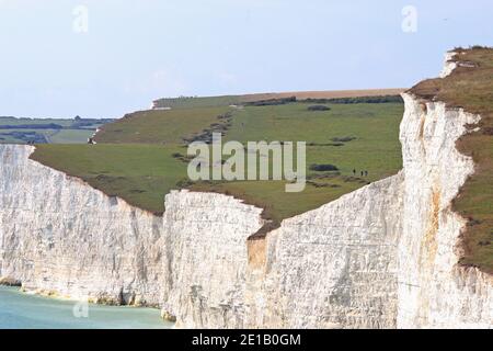 Vista lungo parte delle scogliere di gesso di Seven Sisters vicino a Birling Gap sulla costa meridionale dell'Inghilterra. L'erosione ha causato le cadute della roccia in modo da i visitatori dovrebbero essere cauti. Foto Stock