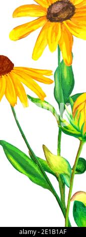 Illustrazione di acquerello disegnata a mano di bouquet di rudbeckia giallo e verde su sfondo bianco. Contrassegno del libro. Illustrazione Vettoriale