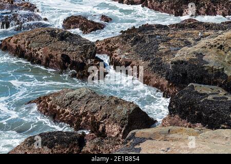 Rocce arrugginite di cozze sulla costa del Pacifico al Cape Sebastian state Park in Oregon, Stati Uniti Foto Stock