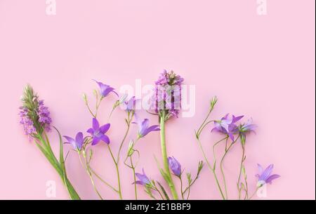 Motivo floreale con fiori selvatici, foglie verdi su sfondo rosa. Disposizione piatta, vista dall'alto. Spazio di copia. Foto Stock