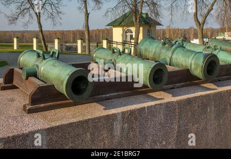 Cannoni di fronte al museo del villaggio di Borodino. Russia Foto Stock