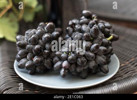 Un mazzo di uve blu mature in un contenitore grigio su sfondo nero Foto Stock