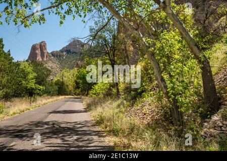 Scogliere Rhyolite viste dalla strada in Cave Creek Canyon, habitat della zona ripariale in Chiricahua Mountains, Near Portal, Arizona, USA Foto Stock