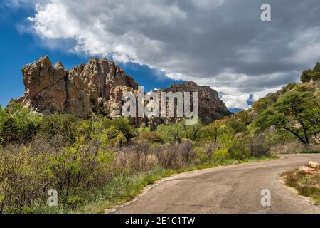 Nuvole tempesta che si ergono su scogliere di riolite intorno a Sunny Flat Campground in Cave Creek Canyon, zona ripariale habitat in Chiricahua Montagne Arizona Foto Stock