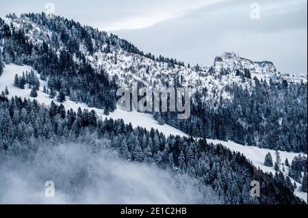 Montagne innevate. Scena tranquilla in inverno. Les Pleiades, Svizzera. Foto Stock