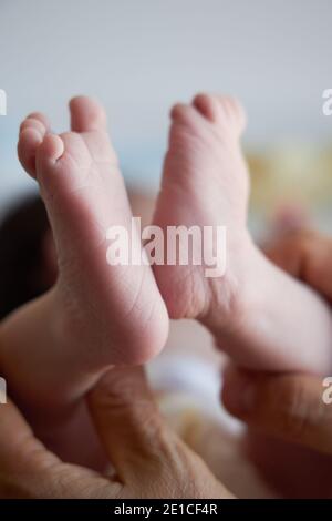 Piccoli piedi di un neonato da vicino. I primi giorni della vita di un bambino. Shot verticale. Foto Stock