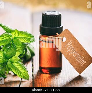 Olio essenziale di menta piperita, foglie fresche e fiori su sfondo di legno. Erba di Mertha piperita, conosciuta anche come Mertha balsamea selvatica Foto Stock