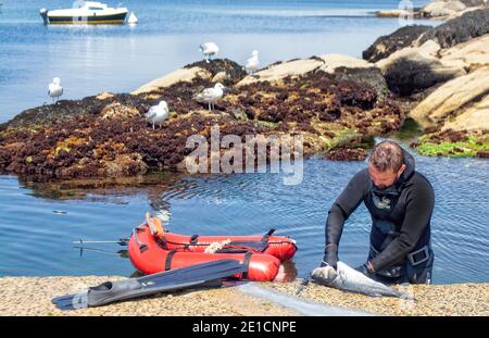 Kerroch, Brittany, Francia. Foto Stock