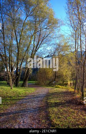 Umore autunnale in Balzers nel Liechtenstein 17.11.2020 Foto Stock