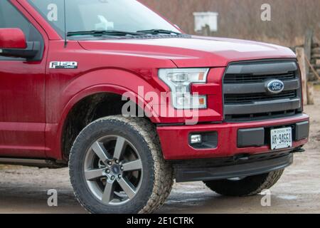 Leamington Canada, gennaio 05 2021: Fotografia editoriale di una ford F150 con grandi pneumatici invernali che sono tutti fangosi dalla guida fuoristrada. Ford f150 è Foto Stock