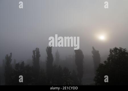 Il bellissimo paesaggio nella moning nebbiosa. Il disco solare bianco si rompe attraverso la nebbia. Foto Stock