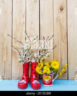 Fiori luminosi in pentole, stivali in gomma rossa su sfondo di legno. San Valentino Foto Stock