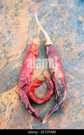 Peperoncino rosso essiccato su ardesia, studio shot, Grahamstown, Capo orientale, Sud Africa Foto Stock