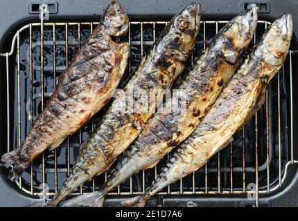 Barbecue con pesce. Pesce sgombro alla griglia. Il pesce grasso e oleoso è una fonte eccellente e sana di DHA e EPA, che sono due tipi chiave di acido omega-3 Foto Stock