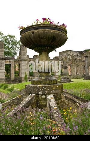 Rovine dell'abbazia di Villers la Ville, un'abbazia cistercense fondata nel 1146 da San Bernardo, oggi meta turistica popolare in Belgio. Foto Stock