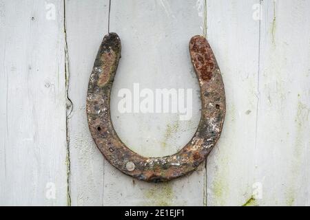 Ferro di cavallo arrugginito su una vecchia porta di legno intemperie, Regno Unito Foto Stock