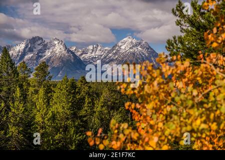 Montagne innevate con foglie dorate Foto Stock