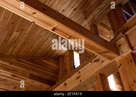 Cabina in legno canadese costruita a mano Foto Stock