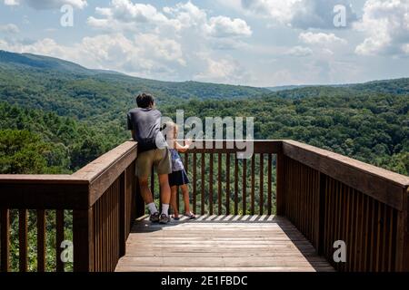 Un bambino piccolo si appoggia contro il padre sulla piattaforma di osservazione foresta Foto Stock