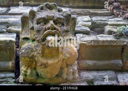 Gargoyle di pietra per sputare l'acqua piovana dal tetto dell'edificio, primo piano Foto Stock