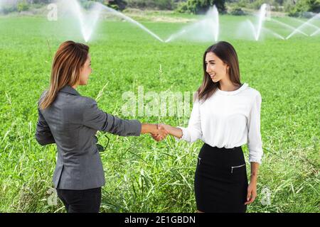 Le donne d'affari scuotono le mani in un campo verde con il sistema di irrigazione agricolo. Sprinkler ad acqua sullo sfondo. Foto Stock