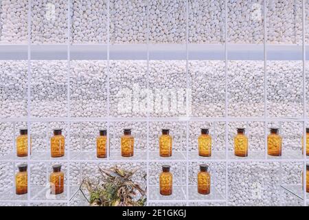 Vista interna della luminosa e ariosa Farmacia olistica Molecure a Taichung, Taiwan. Foto Stock