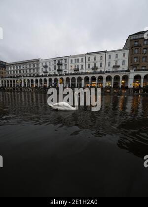 Vista panoramica del cigno presso l'edificio storico Alsterarkaden portici a. Kleine Alster fiume canale lago Elbe Jungfernstieg Amburgo Germania Europa Foto Stock