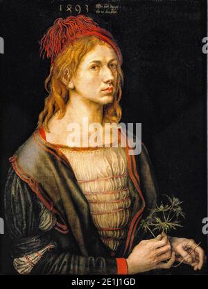 Albrecht Dürer, Self Ritratto (Ritratto dell'artista che tiene un thistle), pittura, 1493 Foto Stock