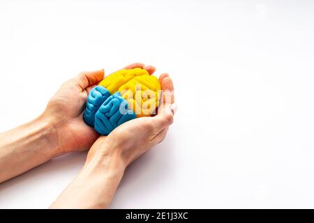 Cervello umano. Modello di argilla. Sfondo di salute mentale Foto Stock
