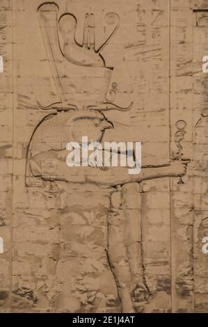 Edfu. Si tratta di uno dei numerosi pannelli a bassorilievo intagliati raffiguranti Horus al Tempio di Horus il Dio Falcon del 200AC, situato a metà strada tra Luxor e Assuan sul fiume Nilo e la città di Edfu famosa per i suoi enormi piloni, colonne finemente decorate, geroglifici cartoucali che raccontano la storia pannelli a muro, e belle opere d'arte sui soffitti. Il tempio fu fortunato che la maggior parte di esso era coperto da sabbia soffiata dal vento, preservando così il tempio dagli elementi per secoli. Foto Stock