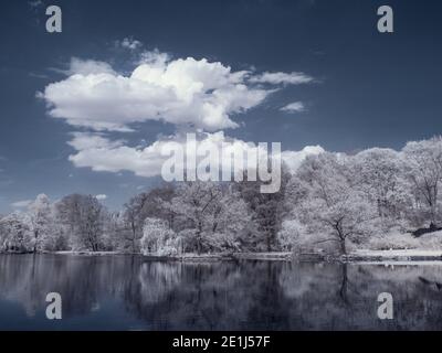 fotografia a infrarossi - ir foto di paesaggio con albero sotto cielo con le nuvole - l'arte del nostro mondo e. piante nello spettro della telecamera a infrarossi Foto Stock