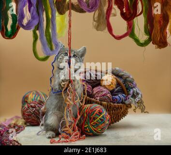 Gattino che gioca con palle di lana. Giocoso carino gattino gatto masticare palla di fili. Baby gatto che gioca con palla di filo su sfondo chiaro. Foto Stock