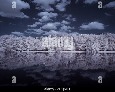 fotografia a infrarossi - ir foto di paesaggio con albero sotto cielo con le nuvole - l'arte del nostro mondo e. piante nello spettro della telecamera a infrarossi Foto Stock