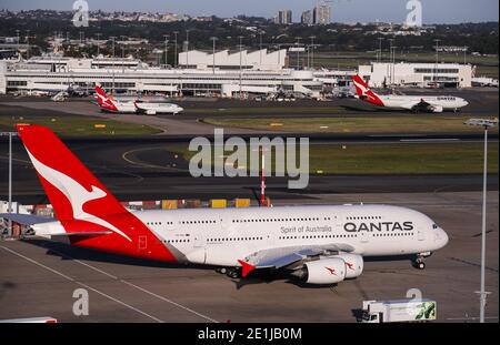 Sydney. 18 Marzo 2020. File foto scattata il 18 marzo 2020 mostra gli aerei Qantas all'aeroporto di Sydney, a Sydney, Australia. La compagnia aerea nazionale australiana Qantas ha ripreso le prenotazioni per i voli internazionali dal 1° luglio di quest'anno, in un segnale promettente che i viaggi all'estero potrebbero tornare prima del previsto. Credit: Bai Xuefei/Xinhua/Alamy Live News Foto Stock