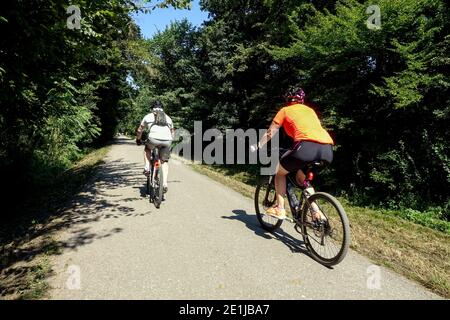 Le persone fanno un giro in bicicletta su una pista ciclabile nella foresta alluvionale lungo il fiume Dyje Moravia, Repubblica Ceca, in bicicletta nei boschi Foto Stock