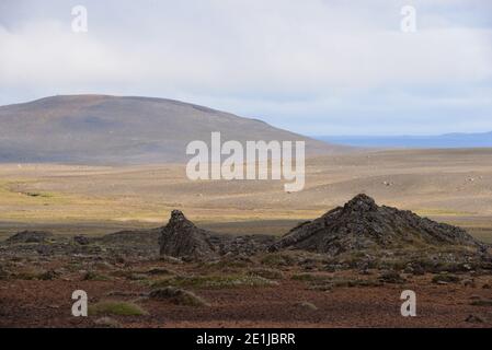 Area geotermica di Hveravellir vicino alla rotta F35 in Islanda Foto Stock