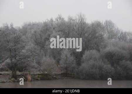 Gelata mattina fredda al lago con un profondo gelo di ruggito che riveste i boschi e la vegetazione circostanti. Foto Stock