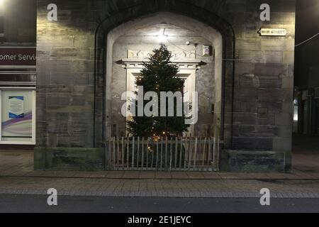 Ayr, Ayrshire, Scozia, Regno Unito. Luci e decorazioni di Natale. Albero di Natale solitario piuttosto povero aspetto patetico Foto Stock