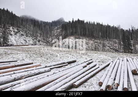 Paesaggio montano con tronchi in legno in una giornata innevata. Foto Stock