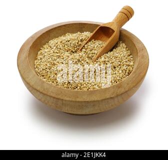 avena con testa a spillo, farina d'avena grossa tagliata in acciaio Foto Stock