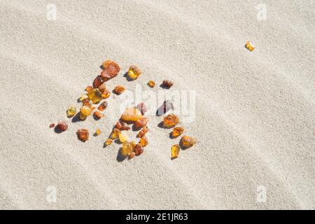 Una manciata di piccoli pezzi di ambra nella sabbia Raccolti sulla costa baltica della Lettonia Foto Stock