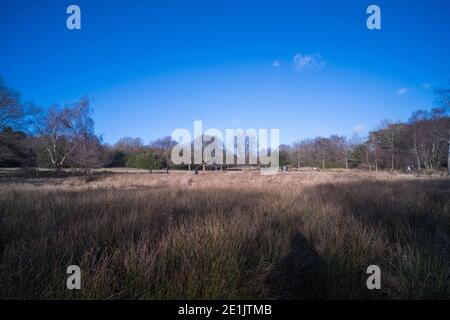 Sutton Park a Sutton Coldfield vicino a Birmingham è di 2000 ettari di parco con piste ciclabili e briglie e laghi per tempo libero Foto Stock