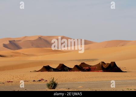 Accampamento beduino nel deserto del Sahara Merzouga, Marocco Aprile Foto Stock