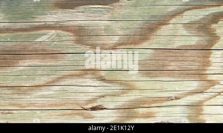 Sfondo di legno verde pastello. Struttura orizzontale in legno. Sfondo di legno primo piano. Foto Stock