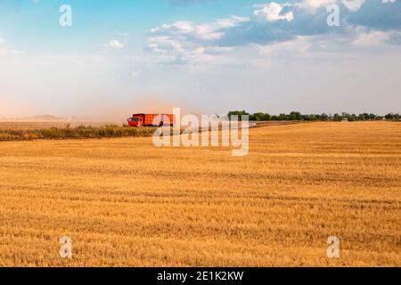 il camion di grano con un volume pieno di grano è lasciato per raccogliere in una giornata estiva, un campo con grano falciato Foto Stock