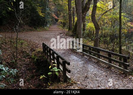 Attraversamento di ponti all'interno del Great Smoky Mountains National Park, stagione autunnale. Questa foto è vicino alla zona di Bryson City. Foto Stock