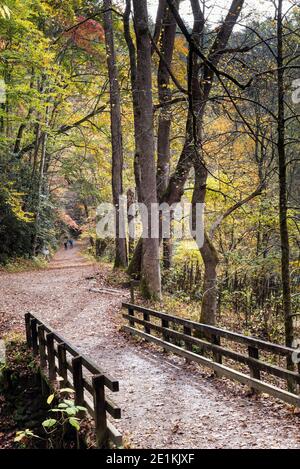 Attraversamento di ponti all'interno del Great Smoky Mountains National Park, stagione autunnale. Questa foto è vicino alla zona di Bryson City. Foto Stock