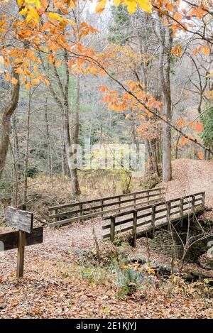 Attraversamento di ponti all'interno del Great Smoky Mountains National Park, stagione autunnale. Questa foto è vicino alla zona di Bryson City. Foto Stock